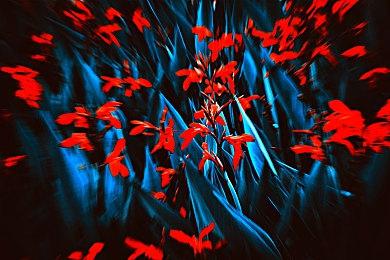 国产悬疑解谜游戏《孙美琪疑案2022》上架Steam